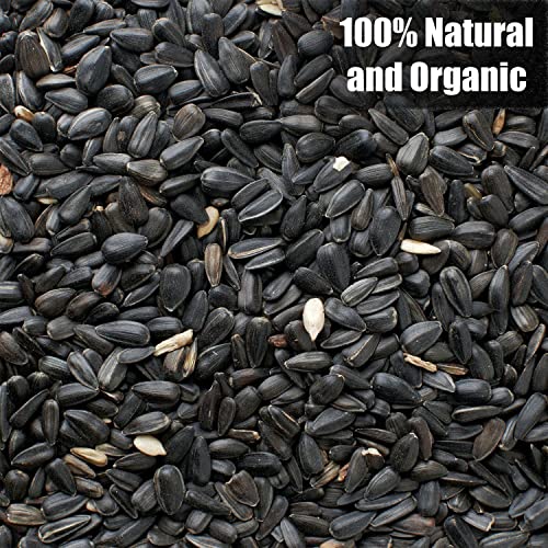 Old Potters Wildlife Black Oil Sunflower Seeds for Birds and Wildlife, Non-GMO & USA Grown on Small Farms (6 lbs)