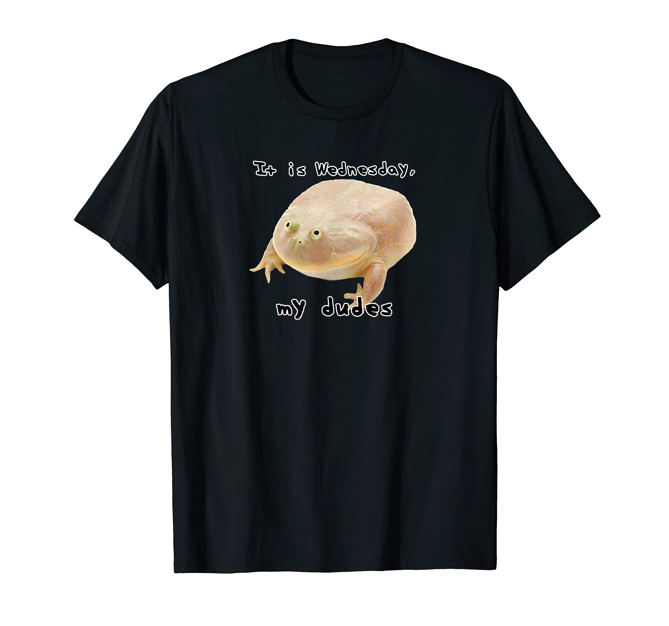 It is Wednesday My Dudes Funny Edgy Frog Meme T-Shirt