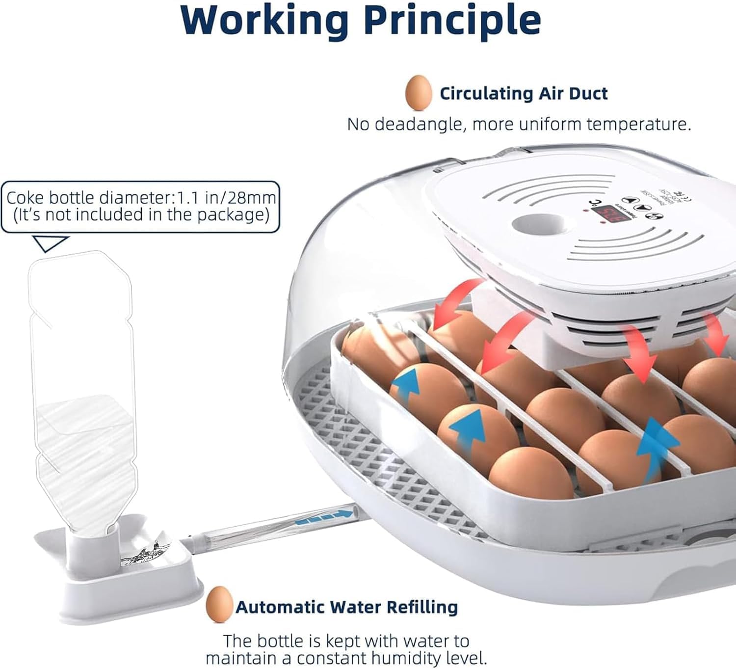 Incubadora digital de huevos para 16 huevos con volteador automático y control preciso de temperatura, incubadora de mesa para huevos de pollo, codorniz y pato