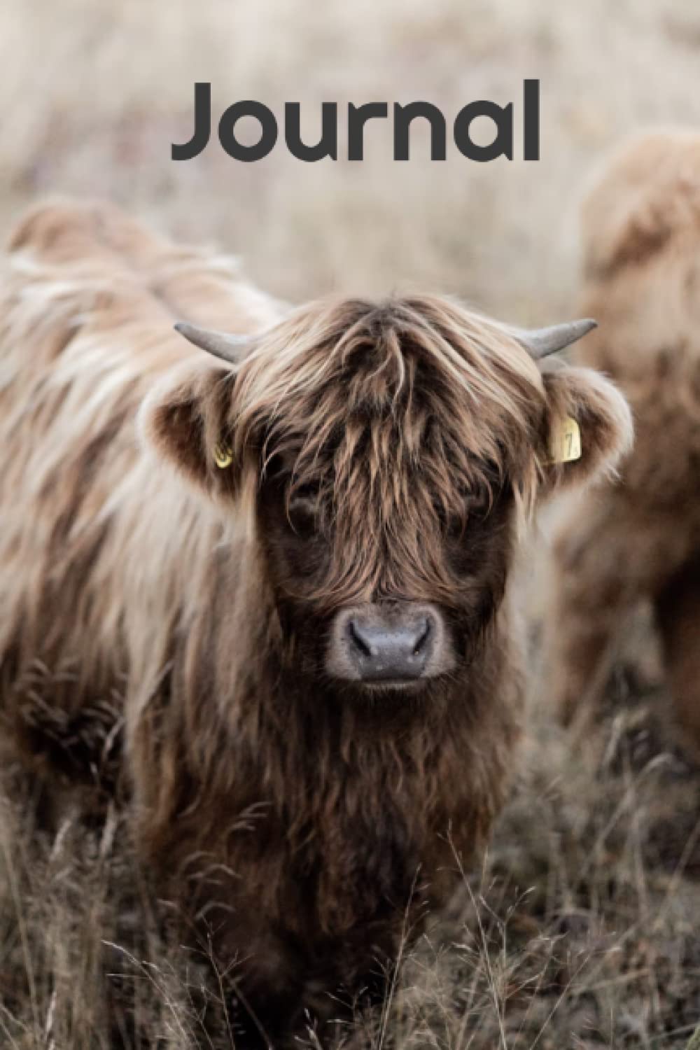 Journal - Daily Journal - Bullet Journal - Diary - Animal - Owl - Barn Owl