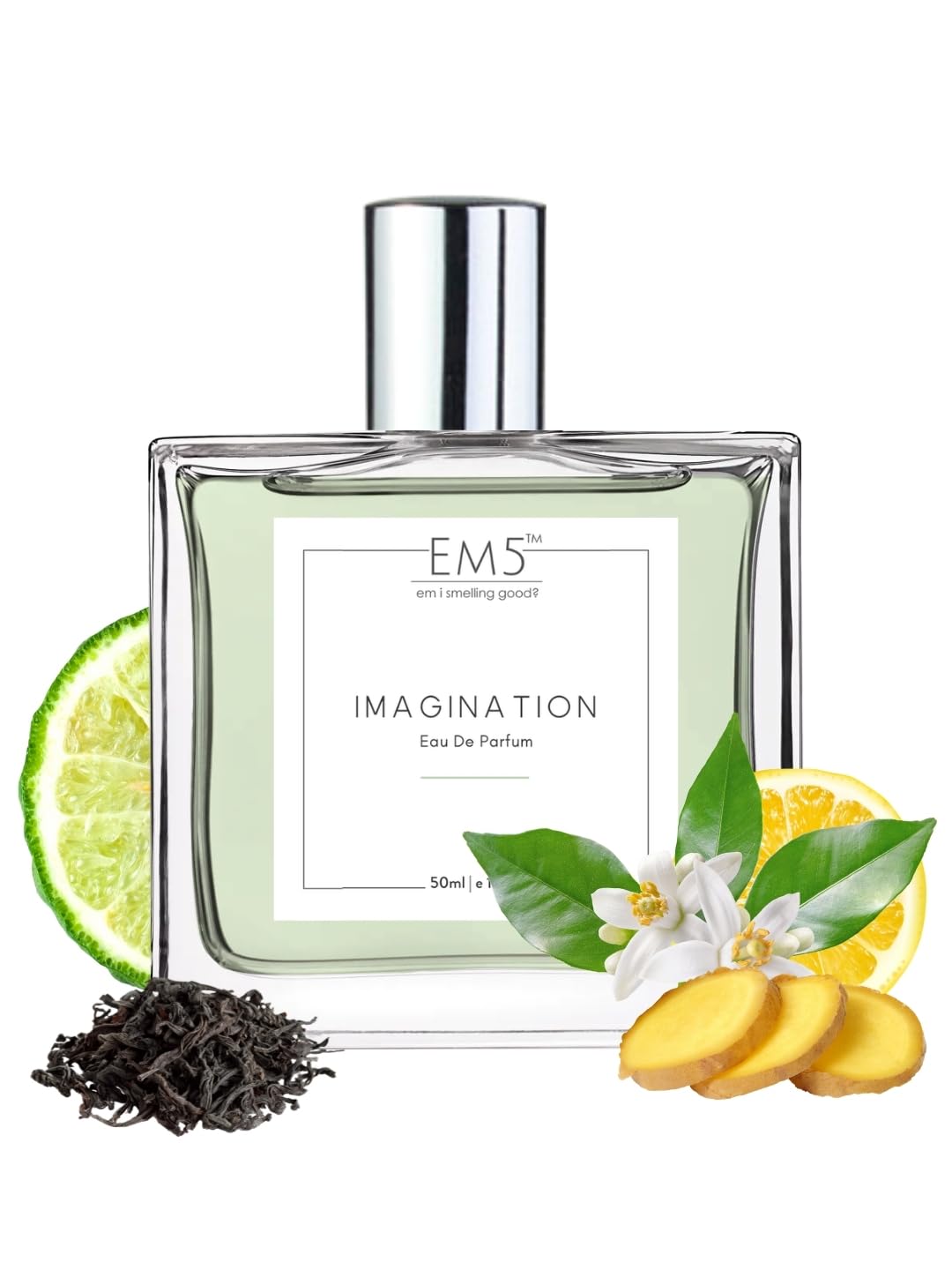 EM5 Imagination Perfume for Men & Women |Citrus Amber Fresh Spicy Fragrance | 50 ml Eau de Parfum Spray | Luxury Gift for Him and Her