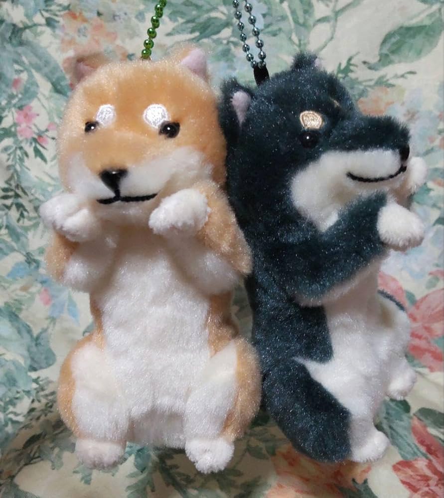 Amazon.co.jp: ほっこり柴犬茶々ノ助ごはんちょーだい