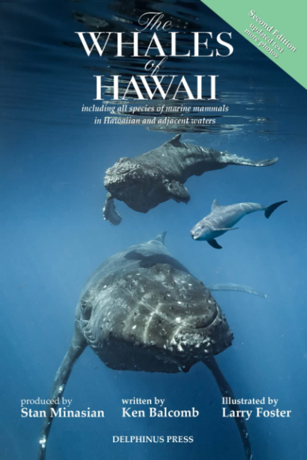 Amazon.co.jp: The Whales of Hawaii: Including all species of