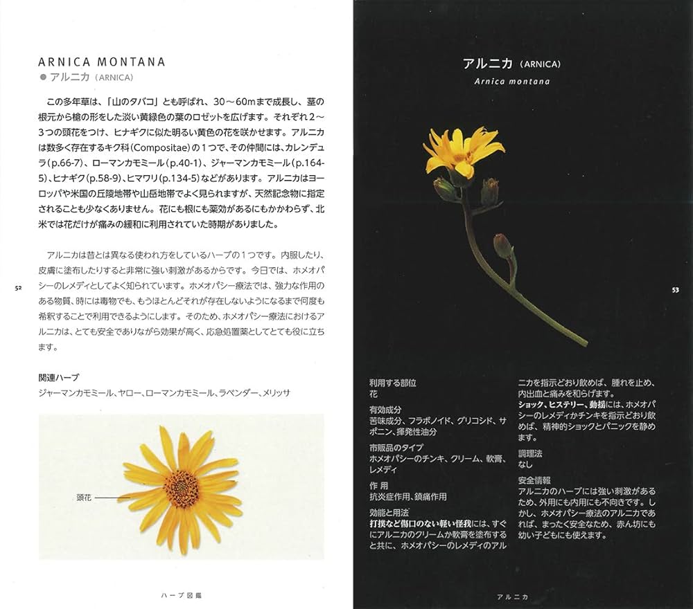 オーガニックハーブ図鑑 817hyFTUIwL._UF350,350_QL50_.jpg