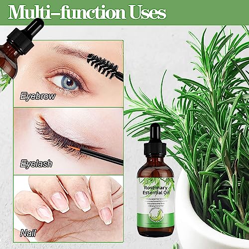 Rosemary Oil for Hair Growth Rosemary Essential Oils for Hair Loss & Skin Care, Strengthens Hair, Nourishes Scalp - Image 4