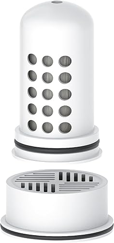 AQUA CREST Filtro de agua compatible con sistemas de jarra y dispensador LifeStraw Home, repuesto para filtro de agua LifeStraw, reduce el cloro, 1