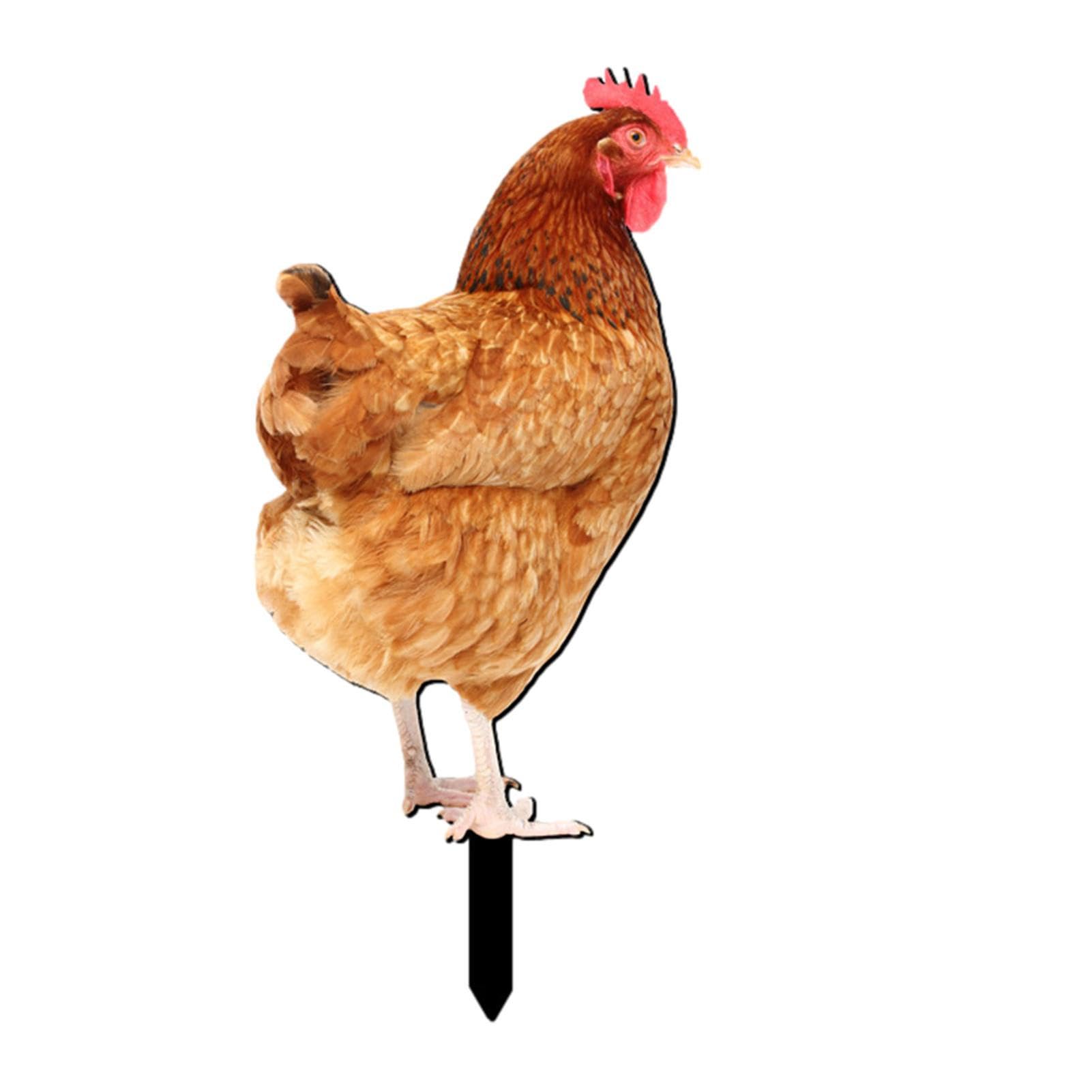 Onlynery Outdoor Chicken Decor - Acrylic Hen Garden Statue | Poultry Ornament Ground Plug, Rooster Stakes Sign for Garden, Lawn, Yard, Patio Decor