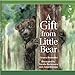 A Gift from Little Bear (English Edition)
