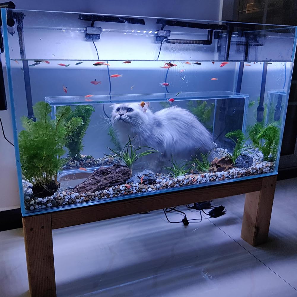 Serbero di Pesce da Letto da 27 Galloni, Tasca da Pavimento per Gatto E Serbatoio del Pesce, Grande Gatto Giocattolo Betta Ciotola di Pesce, Serbatoio del Pesce di Gatto Deluxe