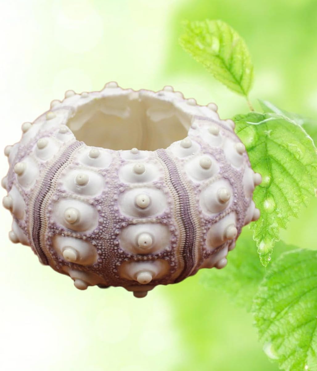 Ceramic Sea Urchin Air Plant Holder 1.57 Inch Pineapple Stand Pot for Indoor Balcony Desk Home Decoration