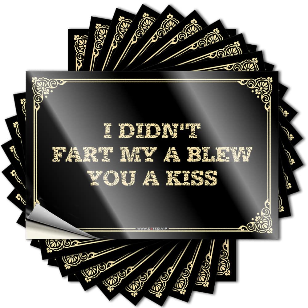Lettering Sticker Spicy Vinyl Decals, Custom Waterproof Soft Bath Stickers for Water Bottle | I Didn't Fart My A Blew You A Kiss Perfect for Cars Laptop Decor(8X12CM)