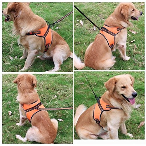 Youbixi No Pull Dog Harness No Choke No Slip Pet Vest Adjustable