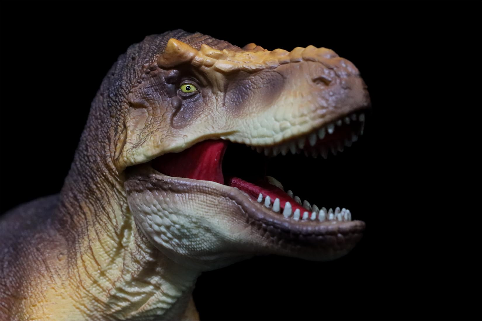 AMITD 1:35 Escala T-rex Modelo Tyrannosaurus Dinosaurio Figure Animal Collection Decor Gift