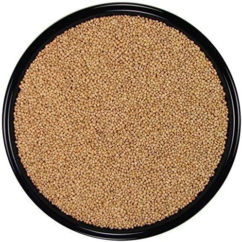 SLEEK & SASSY All Natural White Proso Millet for Birds (20 lbs.)