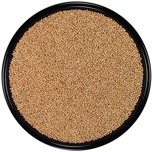 SLEEK & SASSY All Natural White Proso Millet for Birds (20 lbs.)