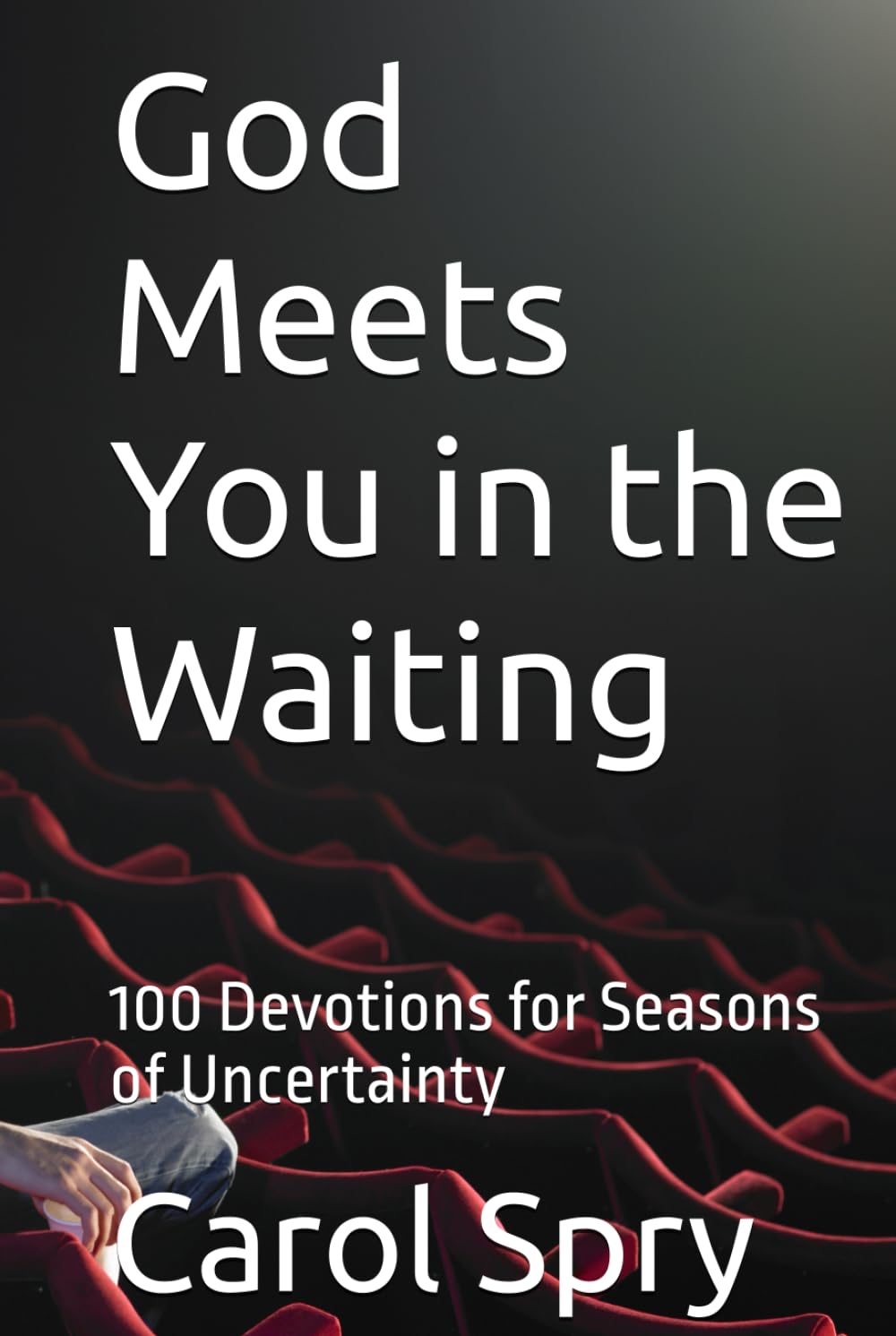 God Meets You in the Waiting: 100 Devotions for Seasons of Uncertainty (The God Meets You Here Devotional Series)
