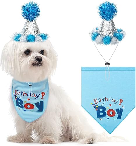 amazon dog birthday hat
