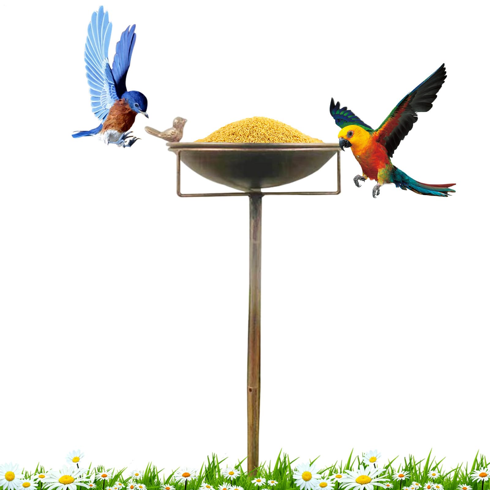 Bain d'oiseaux pour sauver les abeilles et nourrir les colibris