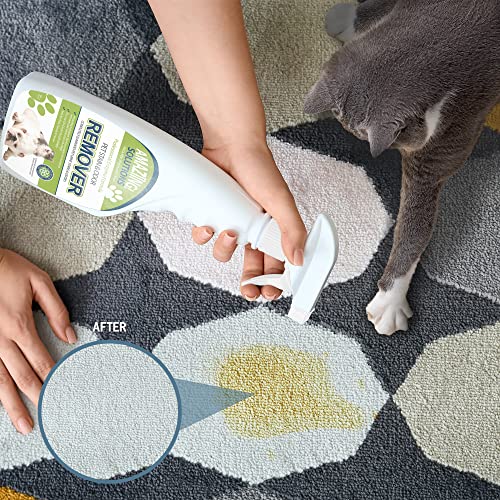 Image of Pet Stain and Odor Remover - Enzyme Cleaner, Pet Urine Odor Eliminator Spray - Floor & Carpet Cleaner Spray, Pet Deodorizers For Home, Fabric Spray W /Fresh, Clean Scent, 32oz Spray
