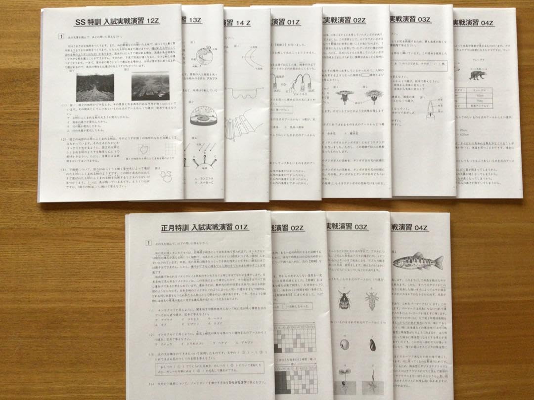Amazon.co.jp: サピックス理科 Z SS特訓冬期講習正月特訓入試実践演習 