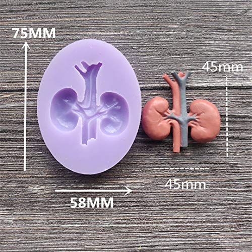 Human Organs Shape Silicone Molds,Heart Liver Christmas Fondant Cake Decorating Tools Chocolate Mold Pudding Jelly Mold (8 Pcs) #TOP7
