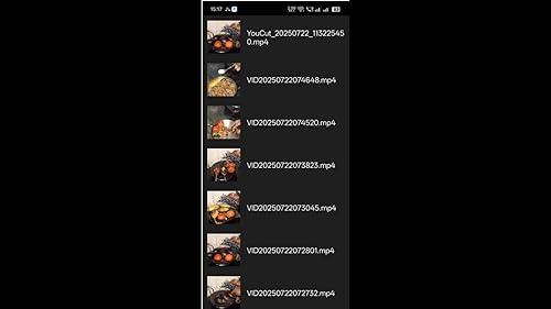 My Video Explorer - imagen 4