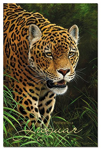Tree-Free-Greetings-Boxed-Set-ECOnotes-Blank-Stationary-Notecards-with-Envelopes