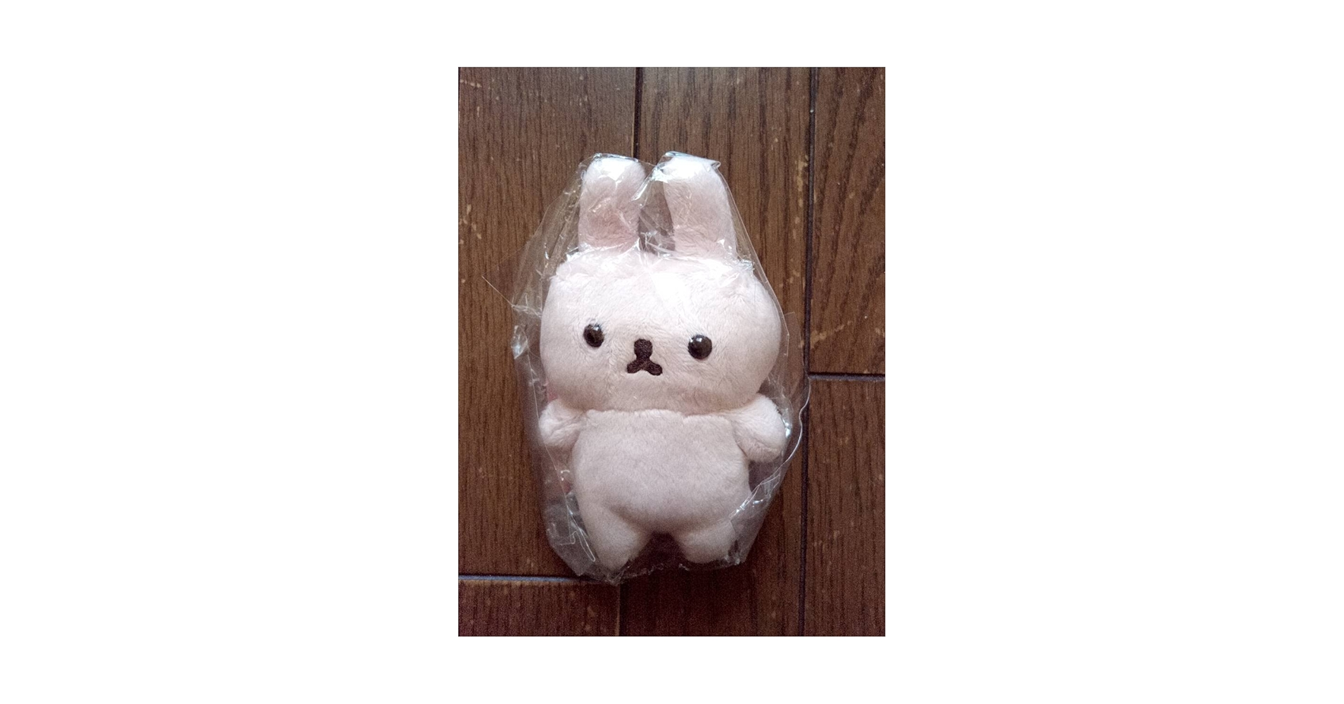 san-X もふたんず　タグ付き未使用　ぬいぐるみS いきものがかり san-X もふたんず タグ付き未使用 ぬいぐるみS いきものがかり
