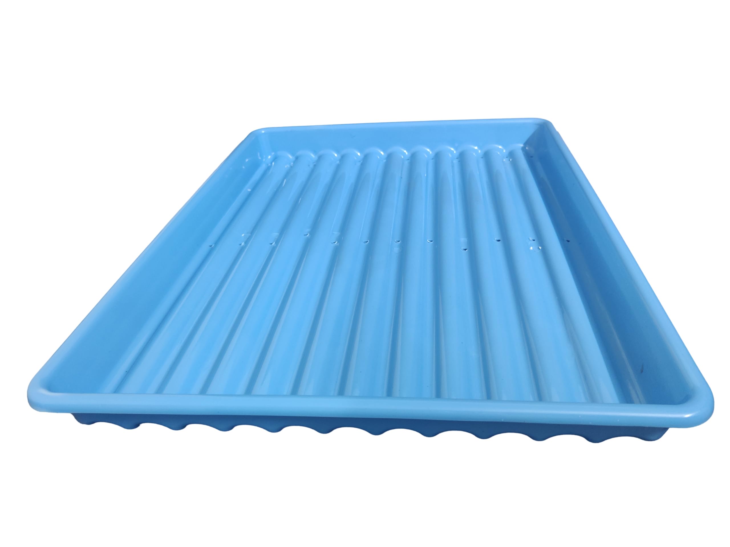 Fodder Tray with Water Drainage Holes for Hydroponic Pashu Chara, Germination and Microgreens, Size: 2 ft x 1.5 ft, 2 Inch Depth, Color: Blue (Pack of 20 pc)-image-37