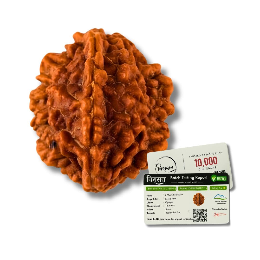 Certified 2 Mukhi Rudraksha Bead | Original Nepali Two Face Natural Rudraksha | Lab Certified Bead for Harmony & Emotional Balance-image-25
