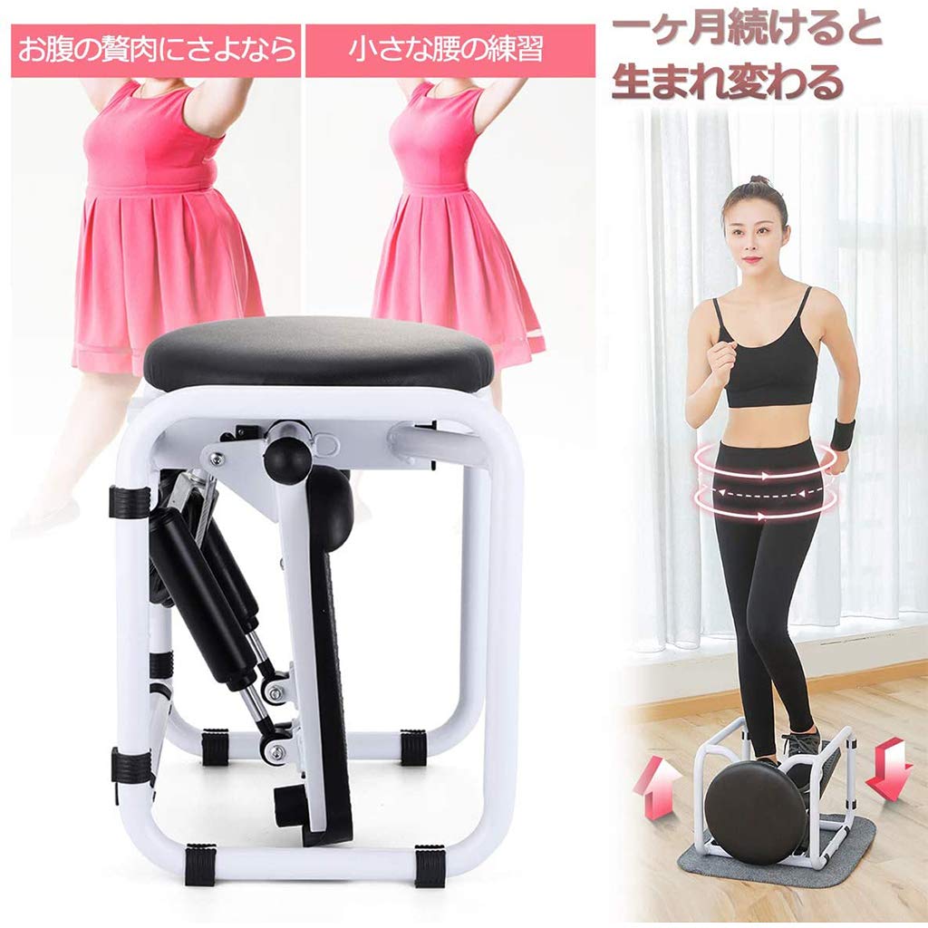 Amazon | フィットネスバイク 多機能エアロバイク 骨盤運動器具