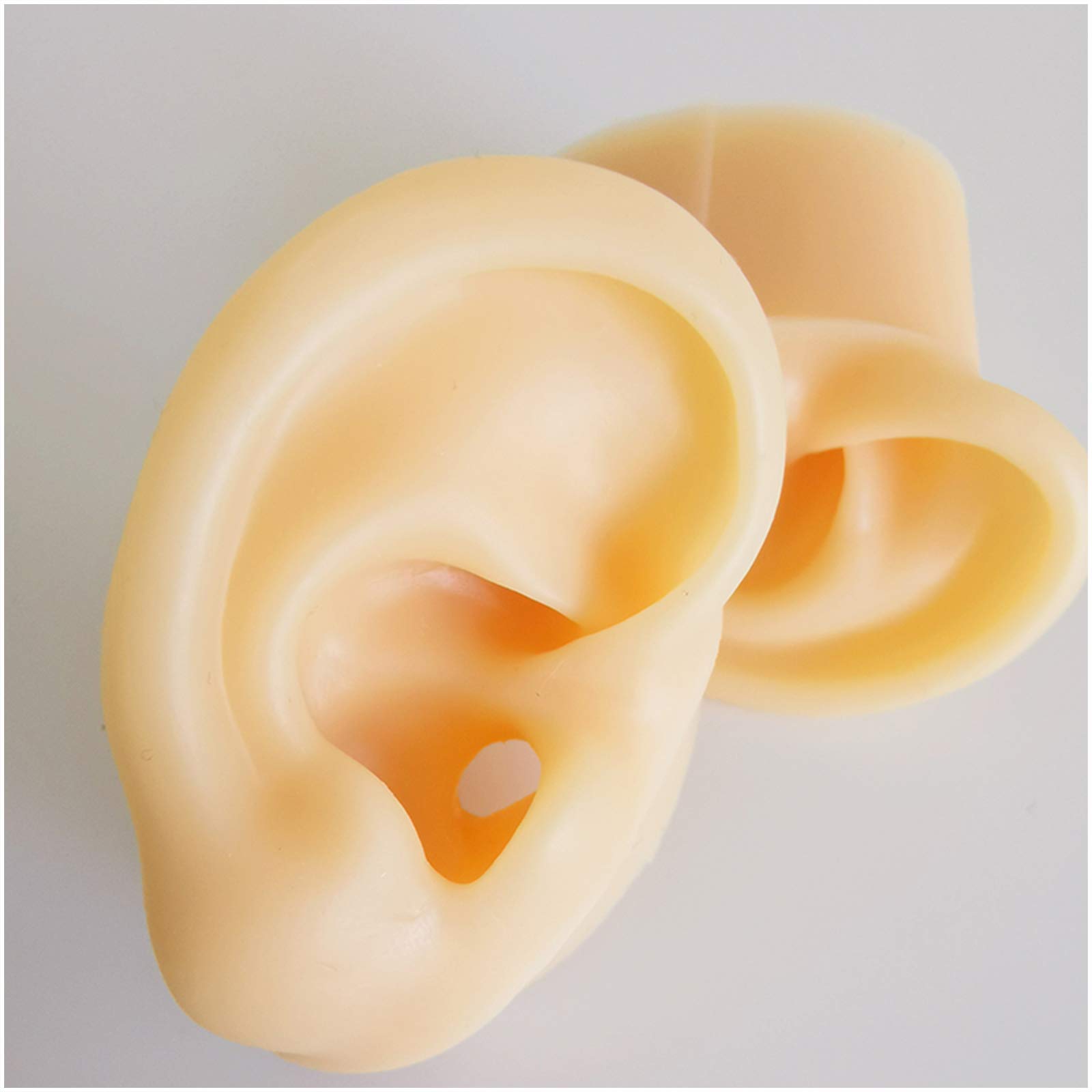 Sjdopulse A Silicone Ear Model For Cupuncture - Life Size Human Ear Model Lifelike Rtificial Ear Model For Science Class Teaching Display,Studs Earring Display Props (A)