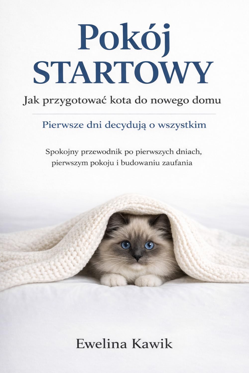 Pokój startowy: Jak przygotować kota do nowego domu i nie zepsuć pierwszych dni