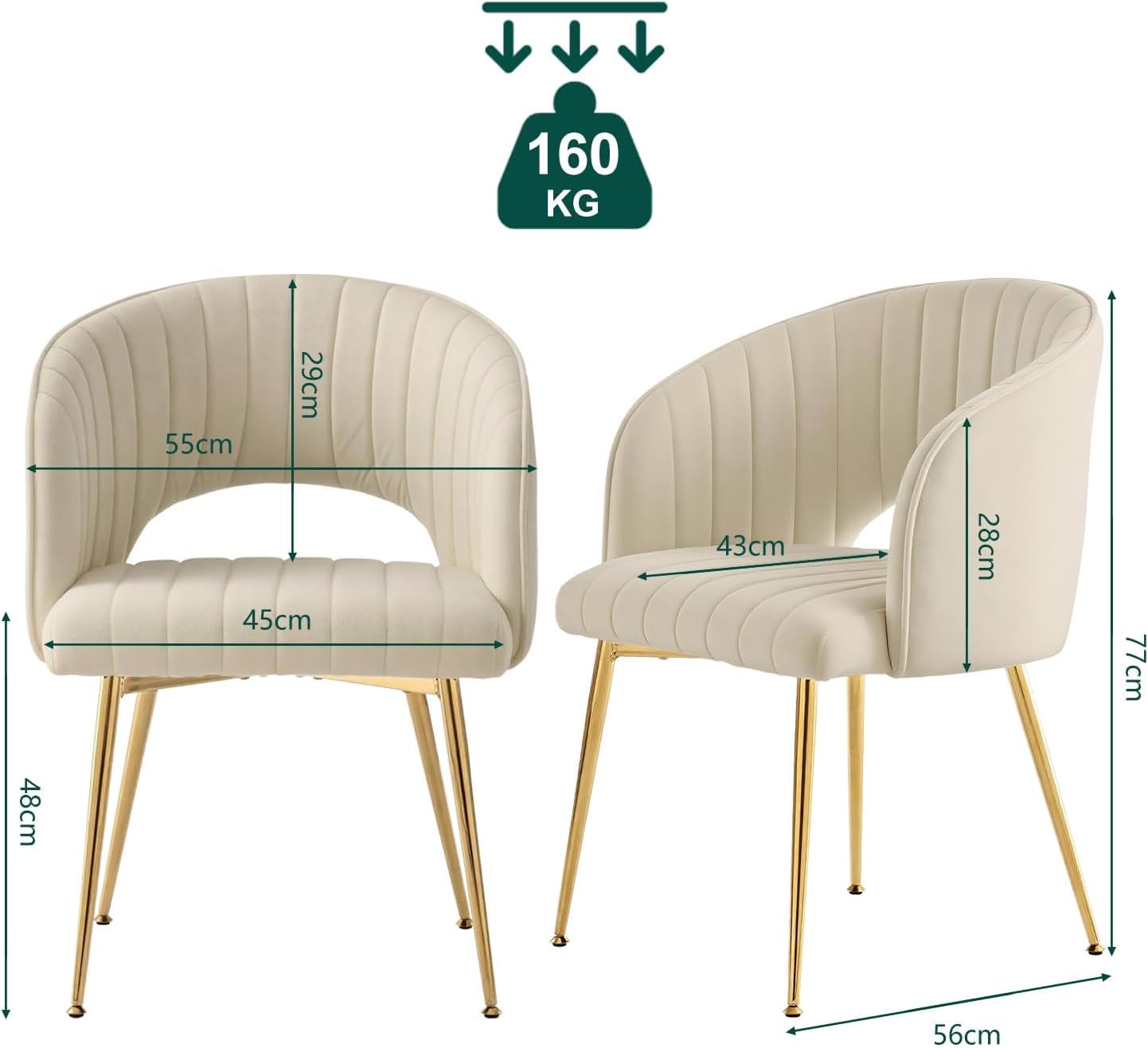 Set di 4 sedie da pranzo in velluto con gambe imbottite e gambe color crema bianco, sedie da cucina moderne per soggiorno, camera da letto, ufficio