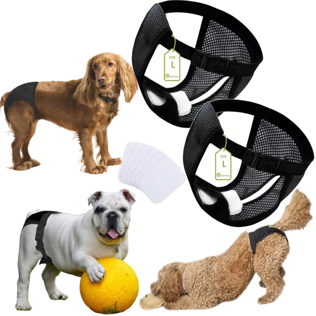 Pañales Perro Hembra.Bragas Perras Menstruales-Braga Celo Hembra-Braguitas Perro Celo-Braga Perro Celo Hembra-Bragas Perros Celo Hembra-2 uds Incluye 6 Toallas Sanitarias, Talla L, Negro.