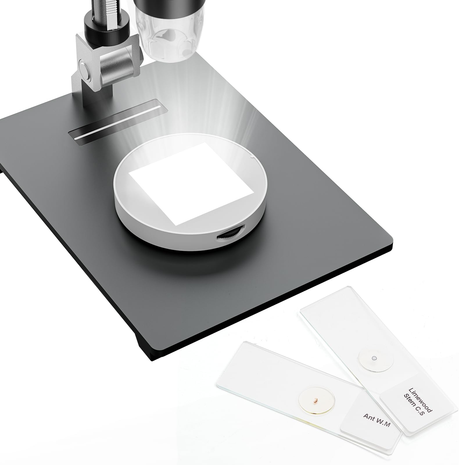TOMLOV Microscope Bottom Light, Universal Transmitted LED Light Stage Holder, Film Scanner & Slide Viewer, 2pcs Digital Microscope Slides Included, Adjustable Lamp Illumination for USB LCD Microscope