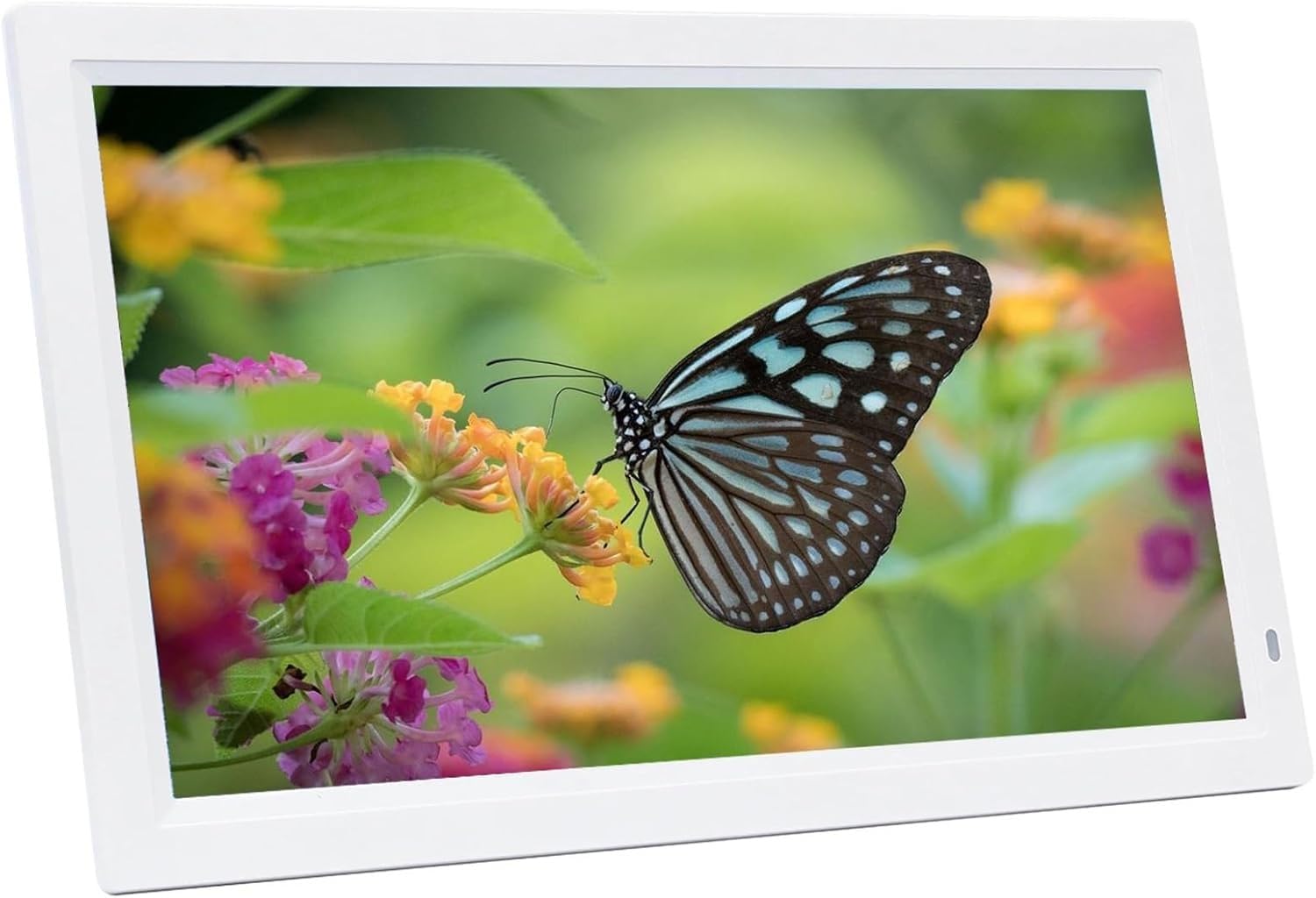 デジタルフォトフレーム21インチ