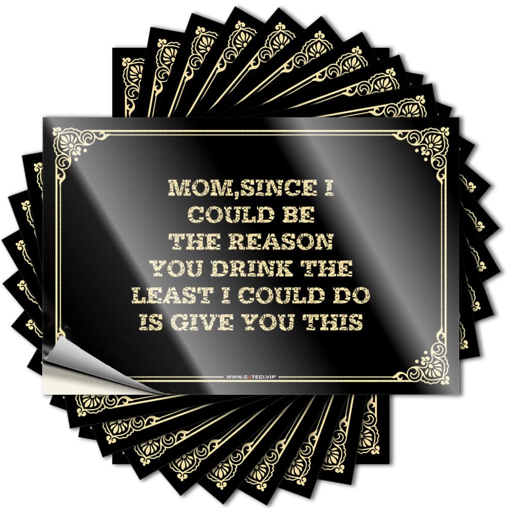 Tattoo Room Door Decor | Vintage Soft Bath Mom,Since I Could Be The Reason You Drink,the Least I Could Do is Give You This for Classroom(8X12CM)