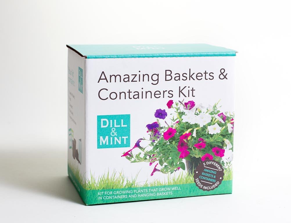 Hanging Basket and Containers - plant kit with seeds, compost and growing instructions