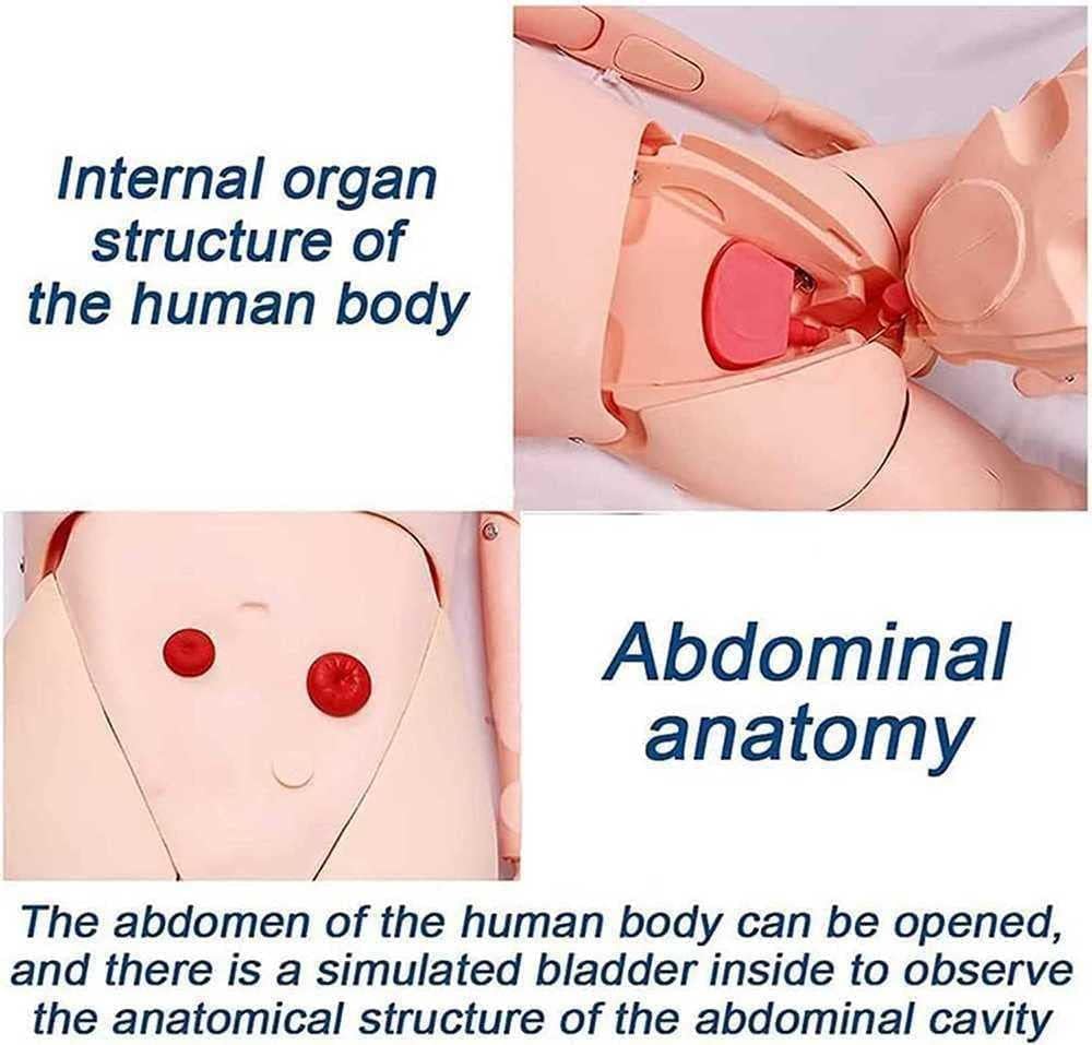 Mannequin de Soins Aux Patients en PVC, Modèle Éducatif Grandeur Nature de 170 cm, Simulateur de Mannequin de RCP, pour Étudiants Éducation Formation Compétences