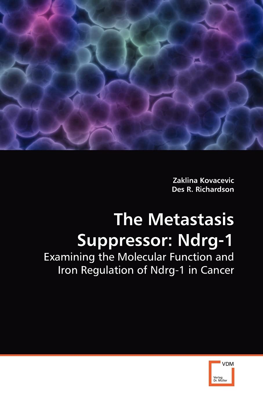 The Metastasis Suppressor: Ndrg-1: Examining the Molecular Function and Iron Regulation of Ndrg-1 in Cancer