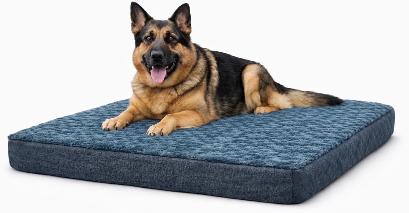 Orthopedic Dog Bed, X Large, Gray, Plush Cover, Removable Washable Cover, Water Resistant Bottom, Supportive high Density Foam (42X30x3.5) Size