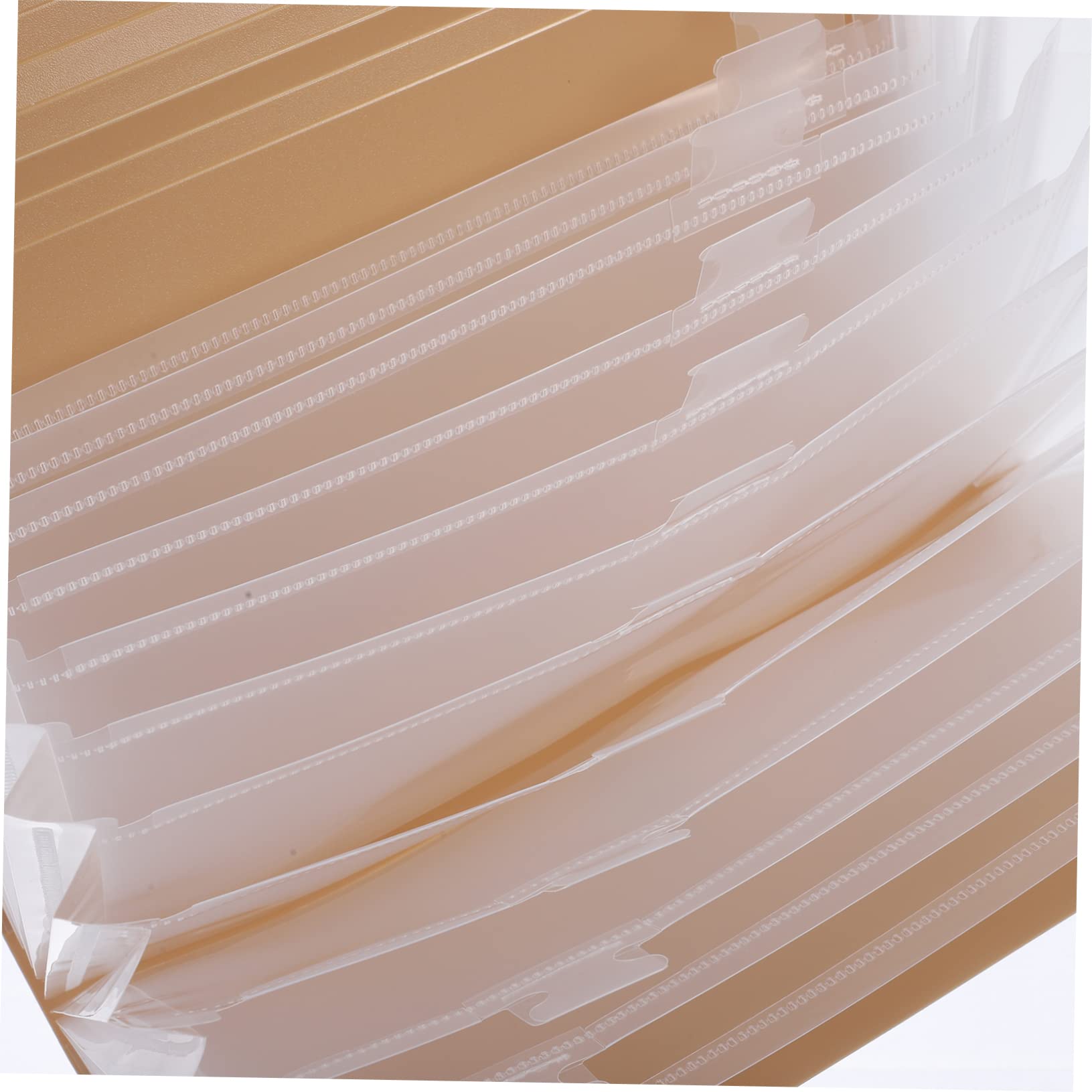 Homoyoyo Cartella Espandibile Per Documenti in Plastica Pp Organizer Fisarmonica e Etichette Colorate Per Classificare File Protetti Impermeabilmente