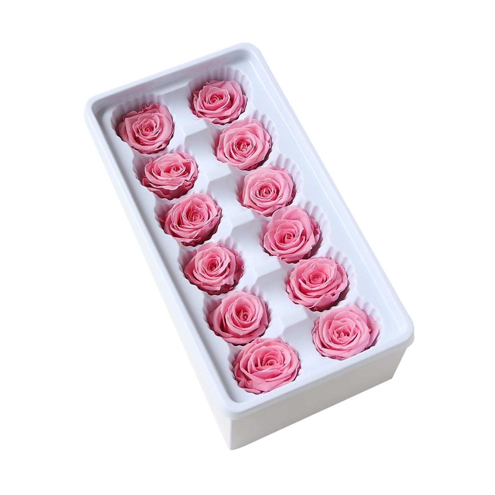 Flores preservadas Roleader para decoración de hogar y centros de mesa de cumpleaños