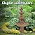 Sunnydaze Pineapple 52-Inch 4-Tier Outdoor Water Fountain - Tall Outdoor Fountain for Garden, Patio or Yard - Earth