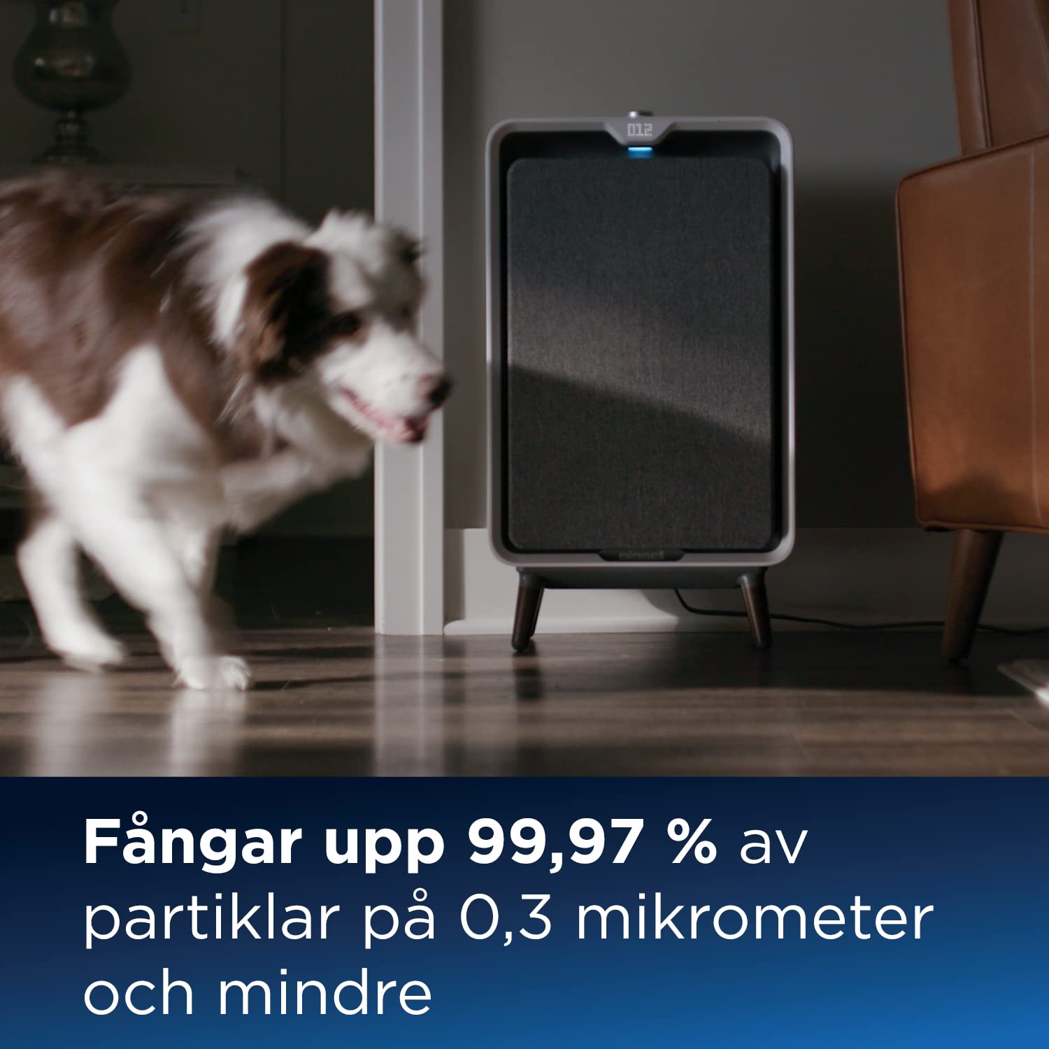 BISSELL air320 Luchtreiniger Vervanging HEPA-filter en actieve koolfilterpakket (3314), zwart