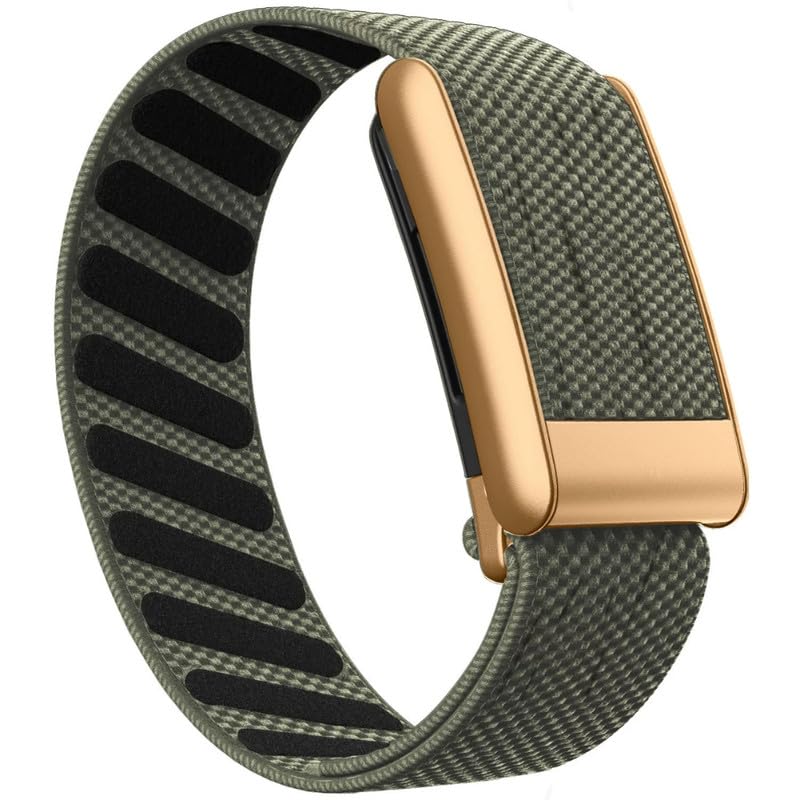 Gray Green-Rose Gold Frame/5.0 Gray Green-Rose Gold Frame/5.0