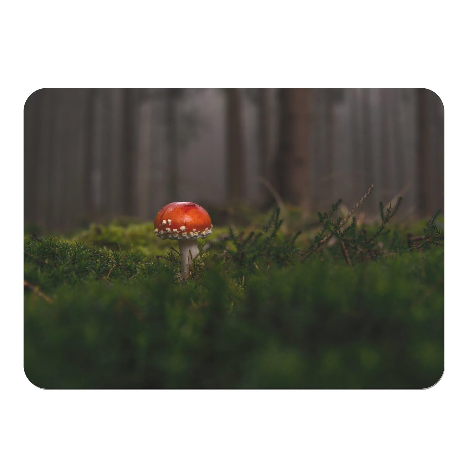 Napperons souples en liège anti-rayures motif champignon de forêt
