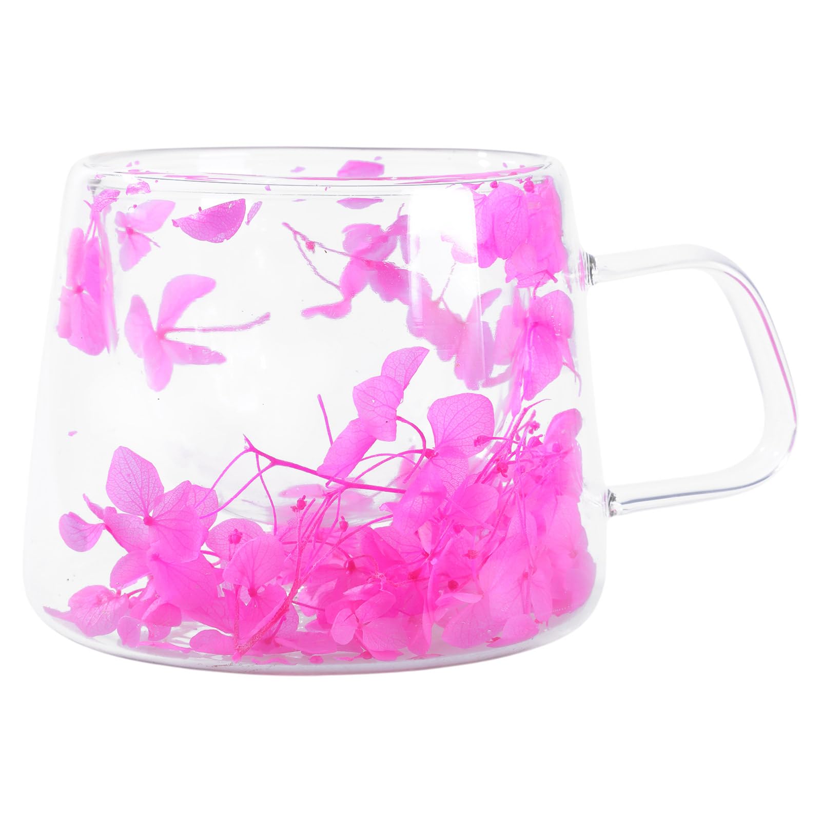 Tsophreniq 200ml Glass Cup with Real Flower Practical Insulated Beverage Cups Double Layer Coffee Heat Resistants Drinkware Dry Flower Glass