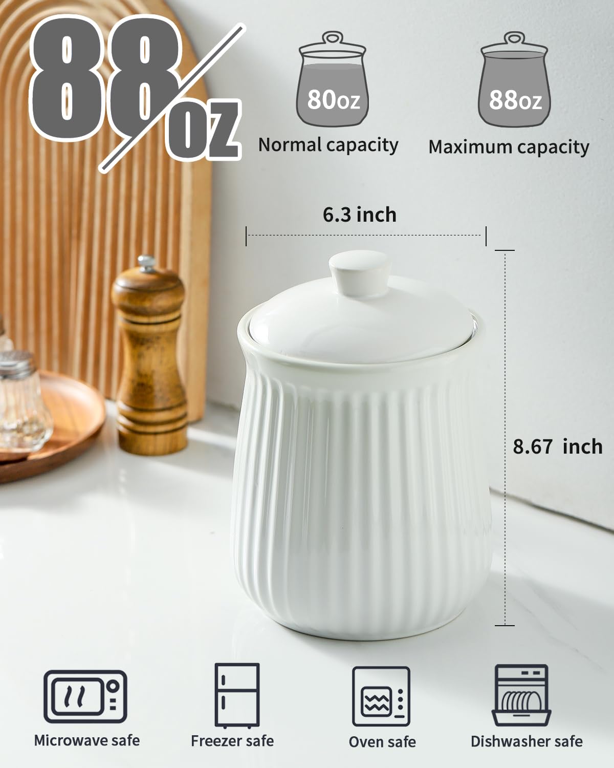 Hasense Frischhaltedosen mit Deckel, 2,5 l Keramik-Frischhaltedose, luftdicht, Keksdose für Kaffeebohnen, Teeblätter, Zucker, Salz, Mehl, Gewürze, Hundeleckerli-Behälter, mikrowellengeeignet, Weiß
